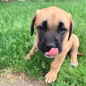 Meet your Posher, Justin